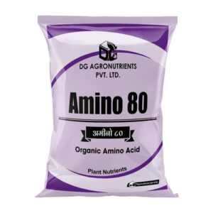 Amino 80