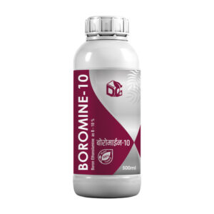 Boromine-10