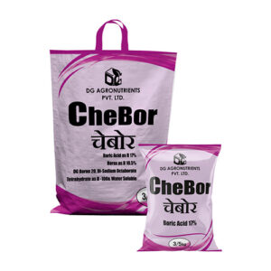 Chebor