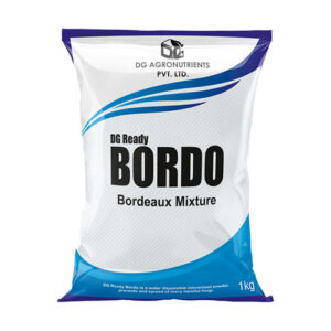 DG-BORDO
