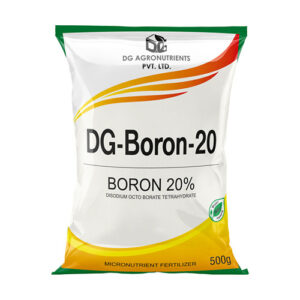 Boron 20