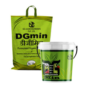 DG min