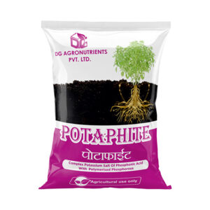 Potaphite
