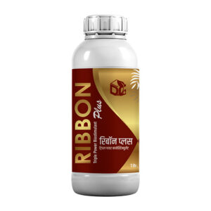 Ribbon Plus
