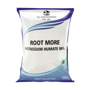 Root More