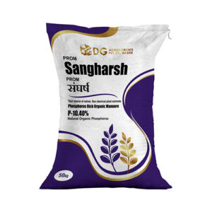 Sangharsh PROM