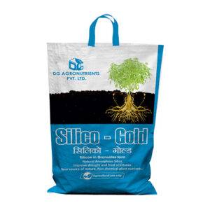 Silico Gold