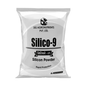 Silico-9